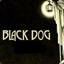 Black Dog