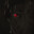 Raze