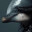 Gothic Dolphin