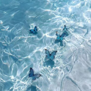 开心的绿色苦瓜