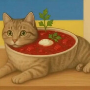 борщара котяра