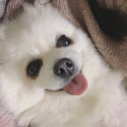 吃啥呢给我掰点