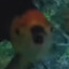 &gt;sleepless