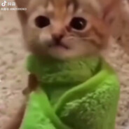 想要三角头帮我陆管