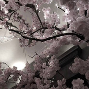 L1nov - steam id 76561199856283393