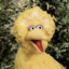 KinkyBigBird