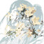 windd's avatar