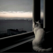 谁都别想压力我