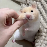 加v看蟹黄堡秘方