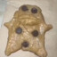 Cookie Dough