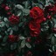 Dexter_8881