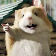 海光寺战神-小寅砸