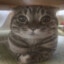 Vel1purr