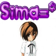 SIma=* - steam id 76561197963194098