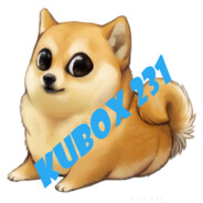 Kubox 231
