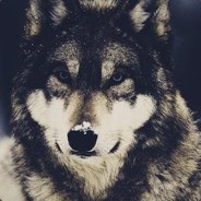 Chapa - steam id 76561198151141631