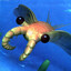 Anomalocaris