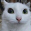 i am so full of spores yum