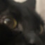 noly