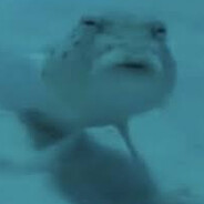 feesh's Avatar