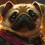 I Pug Warrior I