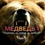 Медведь 1