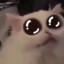 mosocut