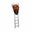 Osama Bin Ladder