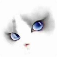 南城花开已半夏