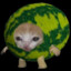 meloncat