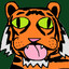 tigor