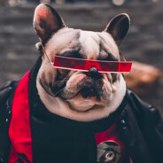 政教主任王瑜斌