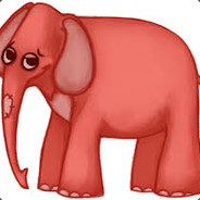 elephant fernandez