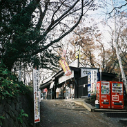 曾经杀过一头牛