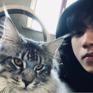 情字何解怎落笔都不对