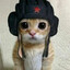 КОТИК ИЗ СССР