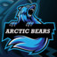 Arctic Bear N4TANO