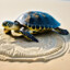 sand pit turtle