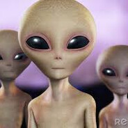 تۆماس باشترین یار