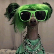 molly - steam id 76561197961158031
