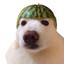 K4lL3R1014