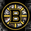 Bruins #DG
