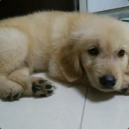 ℉TW丶GEGE118