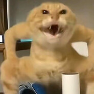 许愿一个王鸡的源吧