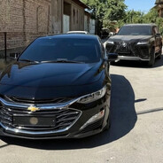 “M   O   N   T   A   N   A”