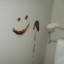 Poop on my walls