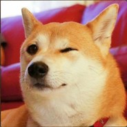 Cass 's avatar