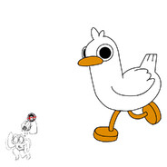 EverythingDuccie