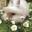 BunnyHopLMAO
