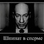 шпинат в сперме